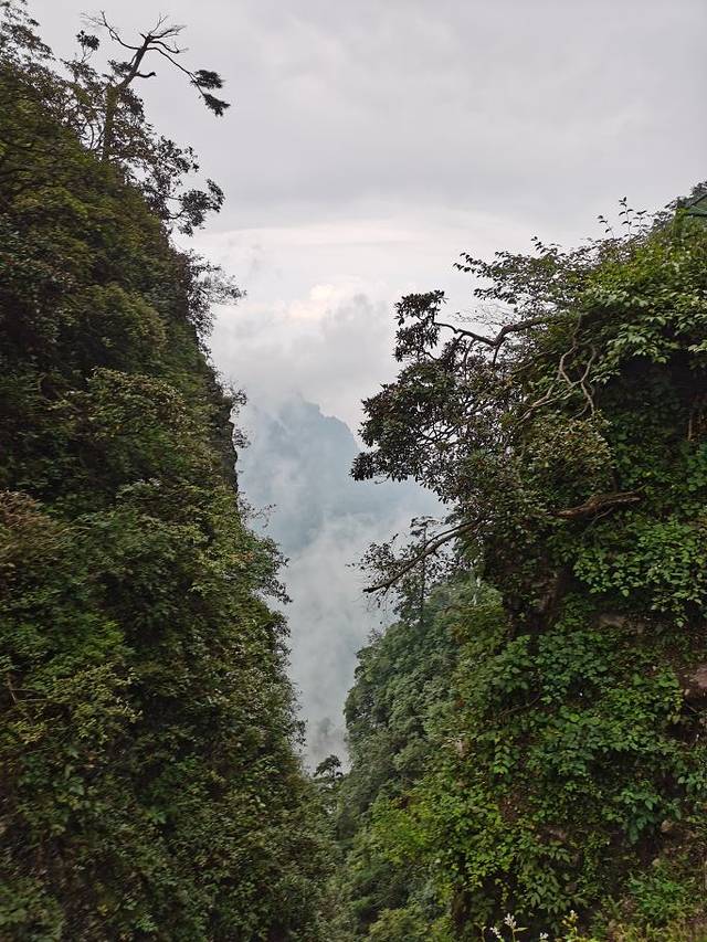 峨眉山源头温泉