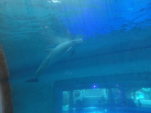 波塞冬沙滩水世界