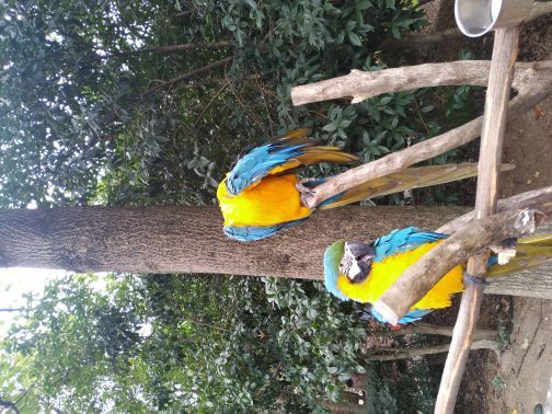 杭州野生动物世界