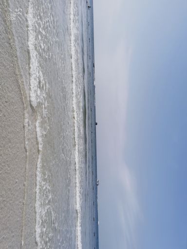 红树林拾贝赶海