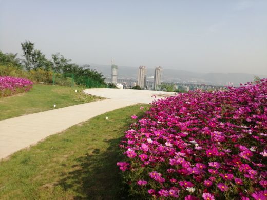 西安植物园新区