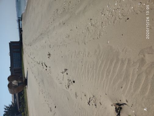 特呈渔岛度假村