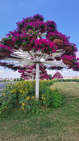 八卦洲陌上花渡