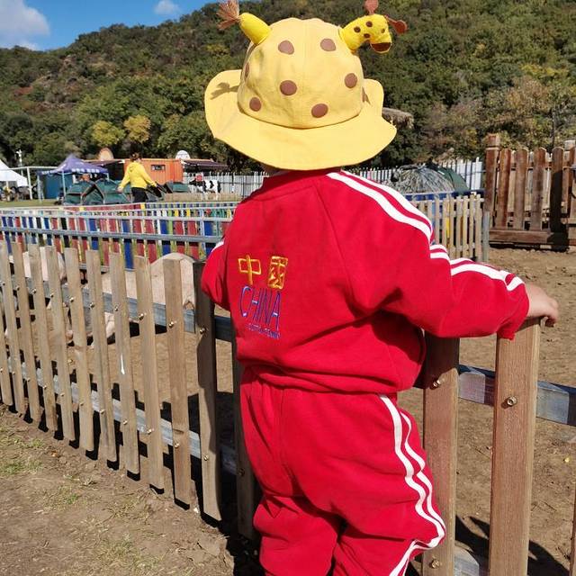 东北亚云端草原