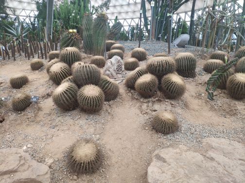 大阳山国家森林公园植物园景区