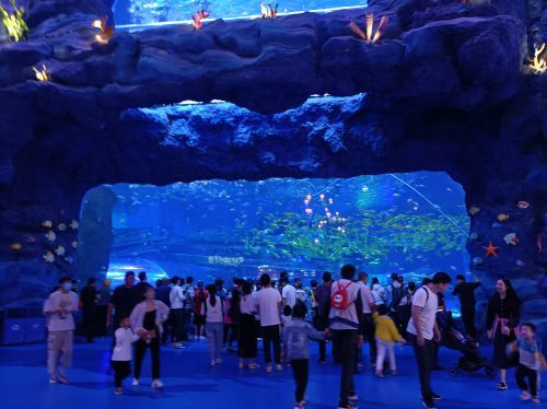 无锡融创海世界(融创茂店)