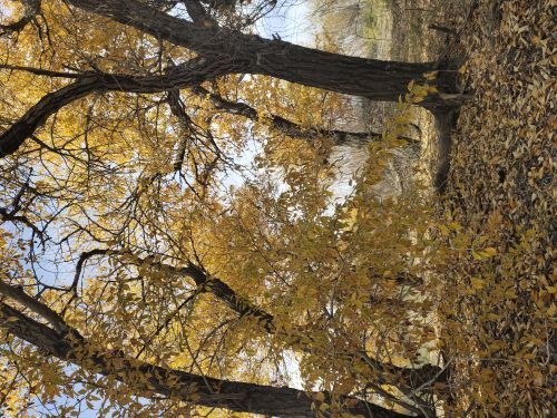 哈巴湖生态旅游区