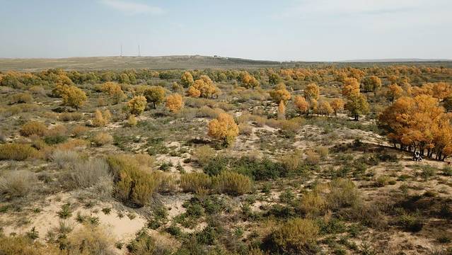 哈巴湖生态旅游区