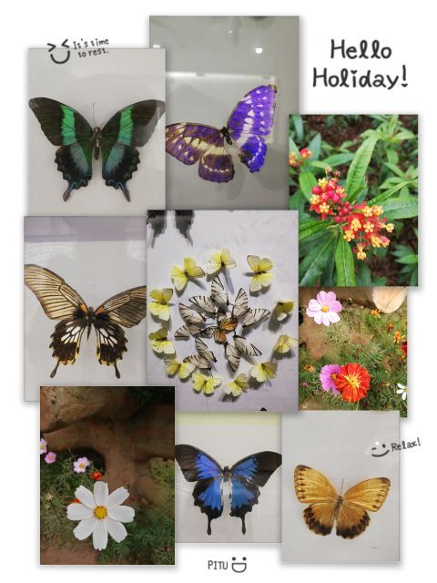 小人国主题公园