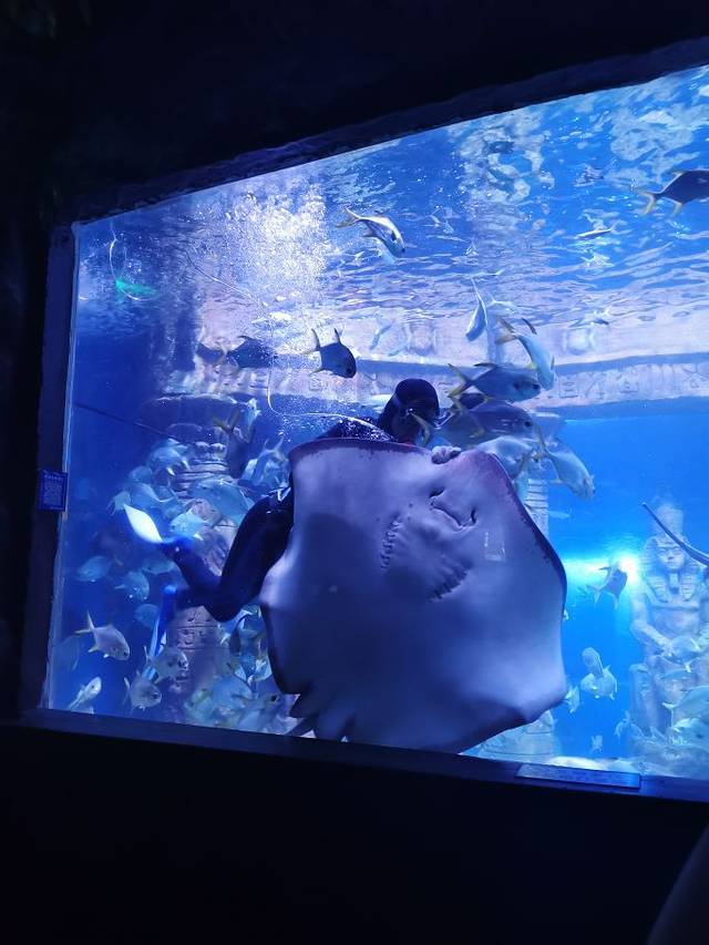 北海银滩游艇娱乐有限公司