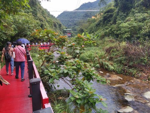 水锦顺庄旅游景区