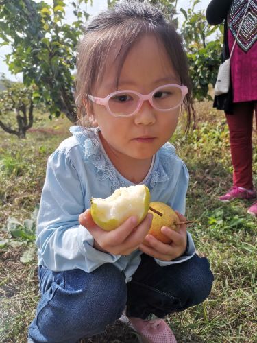 大梨树生态旅游区