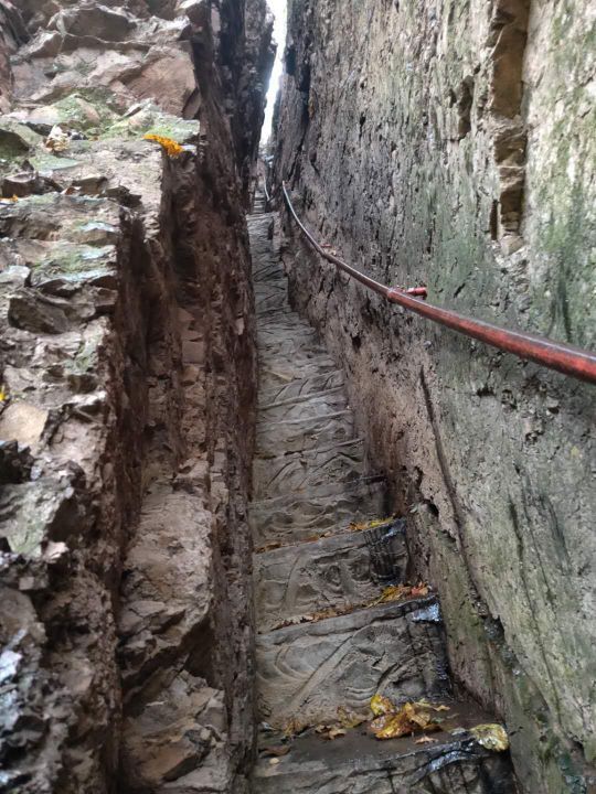 天女山森林公园