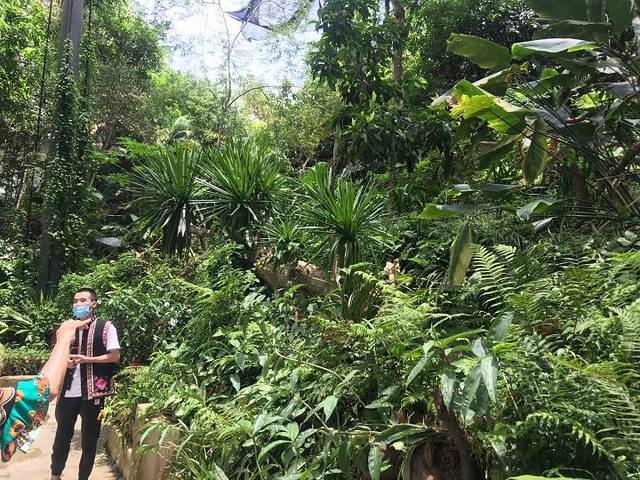 湄公河水底世界