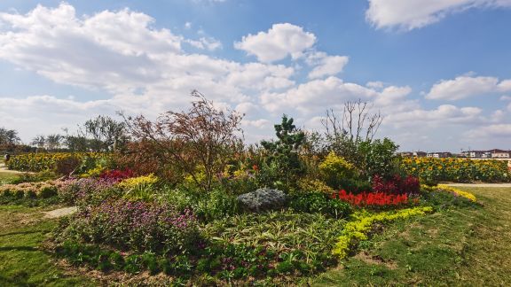 八卦洲陌上花渡