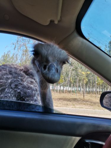衡水野生动物园