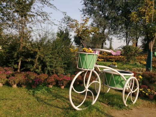 西安植物园新区