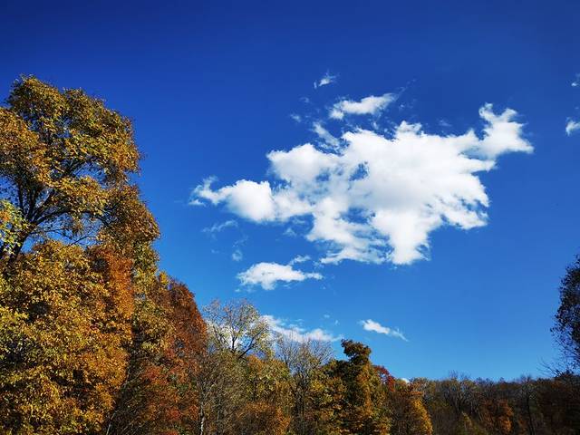 金龙山国家森林公园