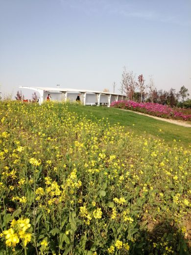 西安植物园新区