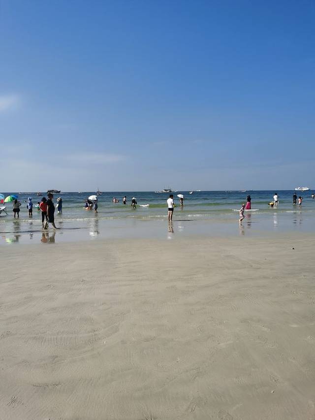 红树林拾贝赶海