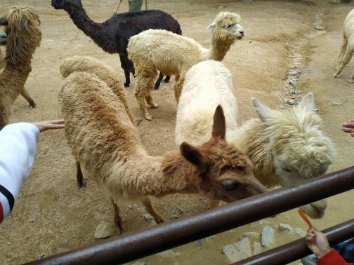 杭州野生动物世界