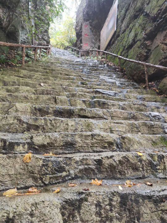 天女山森林公园