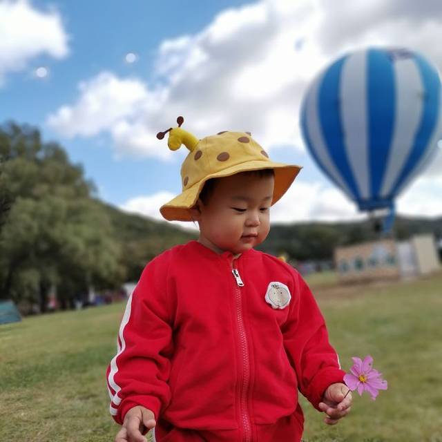 东北亚云端草原