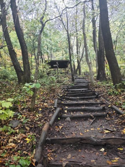 天女山森林公园