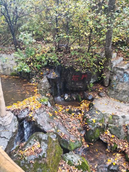 天女山森林公园