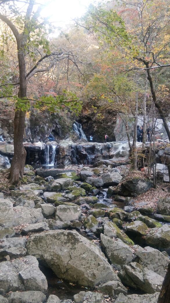 蒲石河森林公园