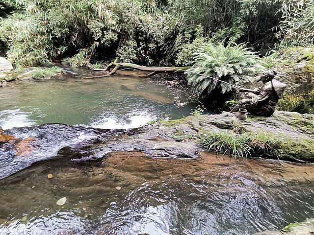 黄桑国家级自然保护区