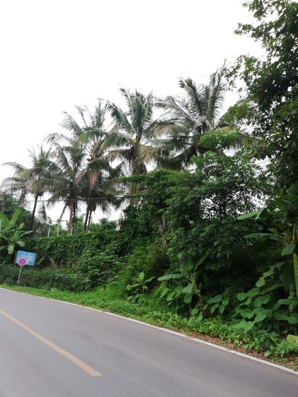 湄公河水底世界