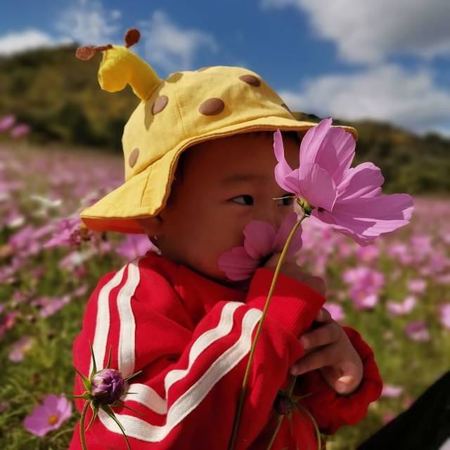 东北亚云端草原