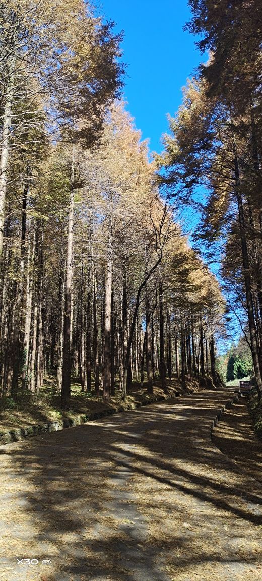 山王坪喀斯特国家生态公园