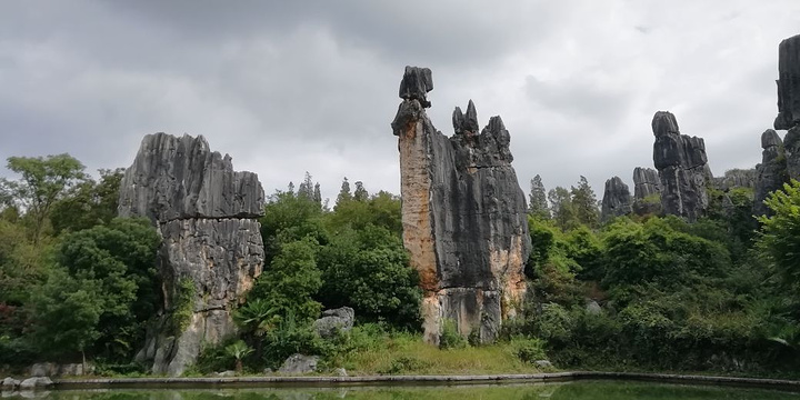 "_石林风景区"的评论图片