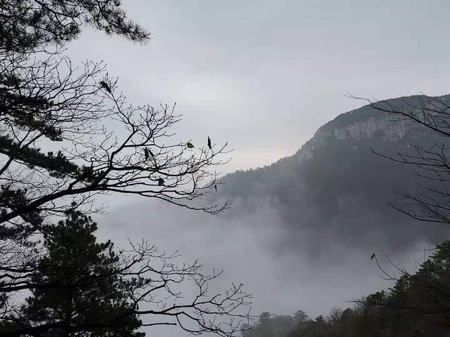 庐山国家重点风景名胜区-天桥