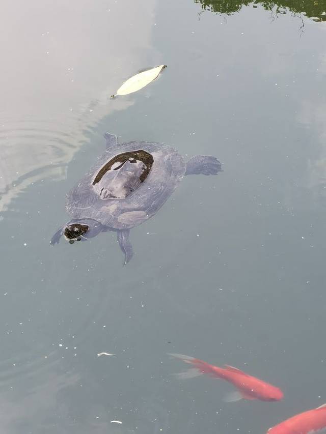 保国寺古建筑博物馆
