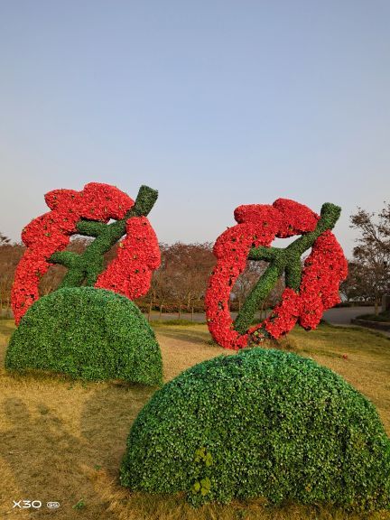 南湖多彩植物园