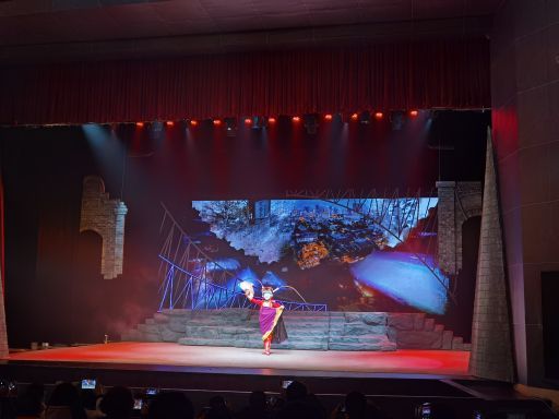 《芙蓉国粹》变脸秀