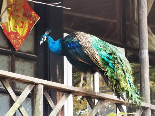 铁山寺国家森林公园