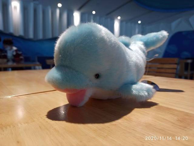 芜湖新华联大白鲸海洋公园