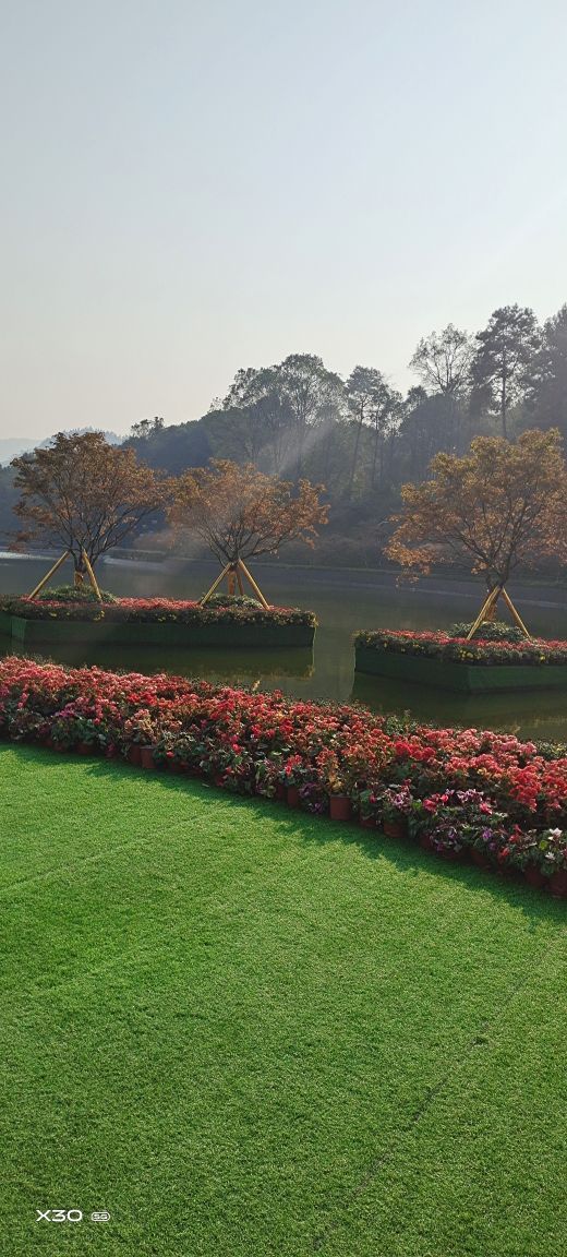 南湖多彩植物园