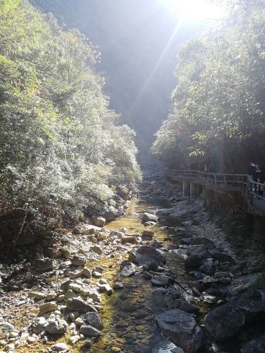 牛头山国家森林公园