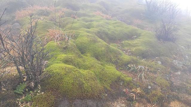 云冰山旅游景区