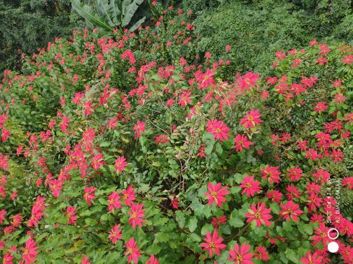黄果树风景名胜区