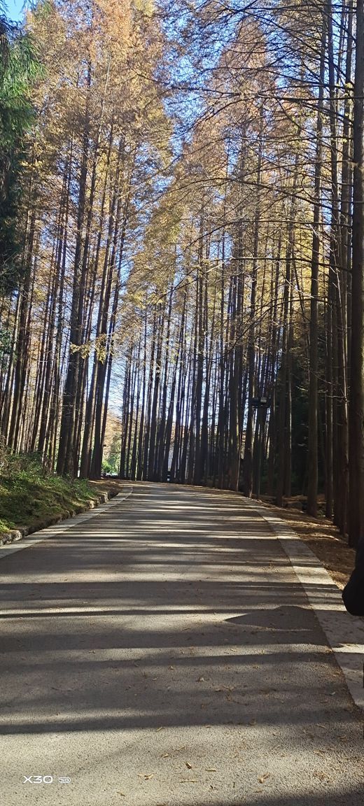 山王坪喀斯特国家生态公园