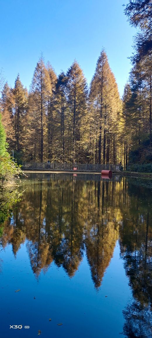山王坪喀斯特国家生态公园