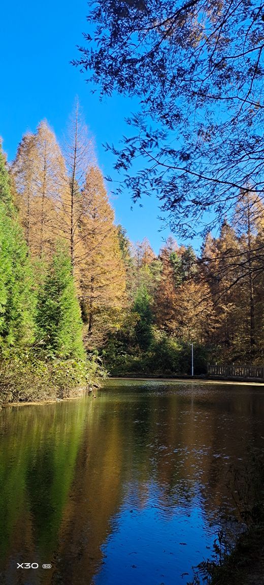 山王坪喀斯特国家生态公园