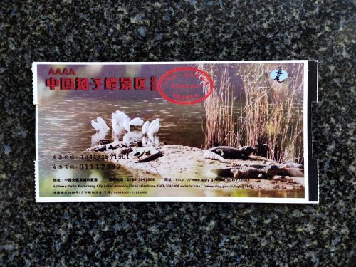 中国扬子鳄景区