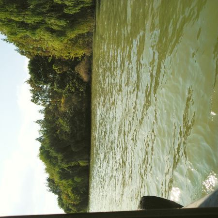 下渚湖·湿地公园